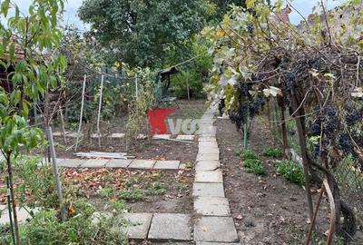 Casa cu gradina in zona Lunei Casa cu gradina in zona Lunei - 10