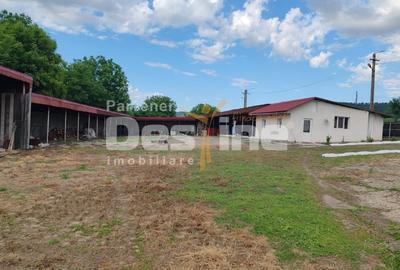 Casă individuală cu 4 camere cu Teren 4800 Mp în Crețești - 2