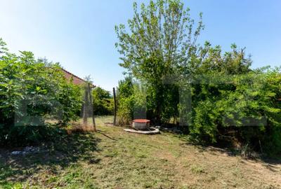 Casă cu 3 camere cu Teren 4000 Mp în Rovina (Brănișca) - 1