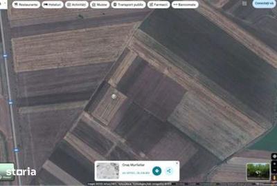 Teren de 6000 mp, în Ciocârlia - 7