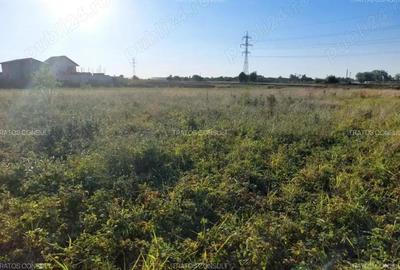 Teren de 687 mp, în Berceni