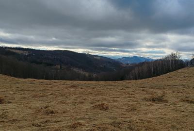 19,5 Ha  TEREN PEISAJ PANORAMIC SPECTACULOS zona turistica montana BULZ -  BIHOR - 25
