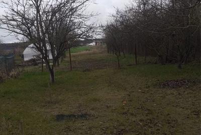Casă cu 4 camere în Balotești - 5