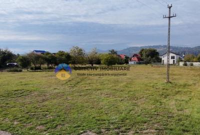 Teren de vanzare 1800 mp Dumbrava Ro?ie - 3