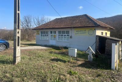 Spațiu comercial, de 80 mp, în Negreni - 5