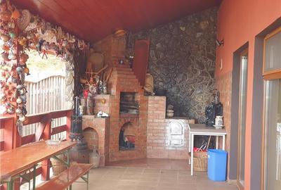 Oferta casa de vacanta P+1+M cu 1700mp teren, in Gura Raului - 13