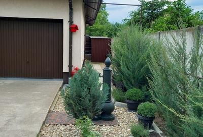 Casă individuală cu 3 camere cu Canalizare în Mogoșoaia - 21