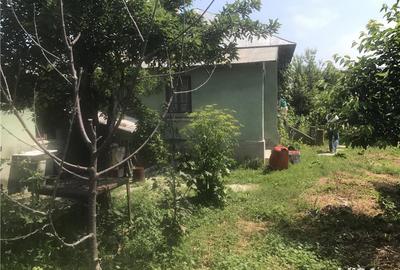 Casă cu 4 camere cu Teren 1000 Mp în Melinești - 1