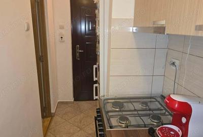 Vand apartament cu 2 camere in Deva, zona Dacia (Romanilor), etaj 2, mobilat si utilat integral - 7