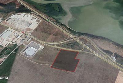 Teren de 60000 mp, în Bradu - 6