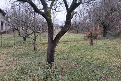 Casa cu 1000 m2 teren, 40 km Sinaia, 15km Pucioasa - 6