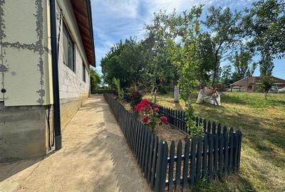 Reco casa in Balnaca - 10