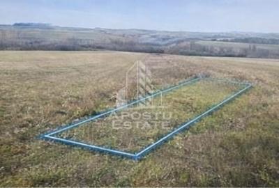 Teren agricol extravilan de 5000 mp, în Bârsa - 2