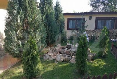 Casa 5 camere, 1100 mp teren, Birnova - 8