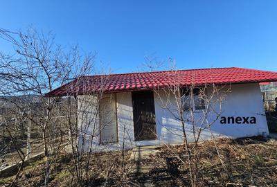 Casa constructie la rosu 2018 ---Bca in NICULITEL - 20