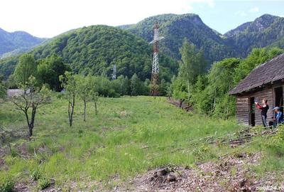 Teren în Malaia - 2