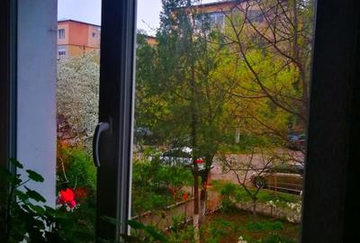 Apartament 3 camere etaj 1 Ion Creanga Prefectura Primarie(fostul C.E.C) liceul Pedagogic - 2