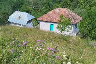 Vand casa si teren Vadu Oii, Gura Teghii