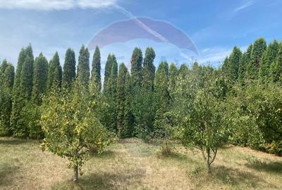 DE VANZARE Vila de vacanta in Pucioasa /Dambovita - 44