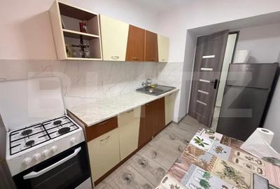 Apartament cu 2 camere semidecomandat în Vest - 4