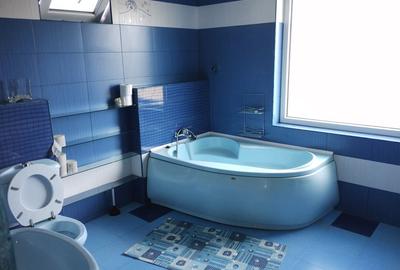 Casă cu 3 camere în Cataloi - 3