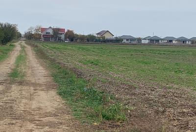 Teren Sabareni langa padure 10 minute pana in Bucuresti 6800mp - 4