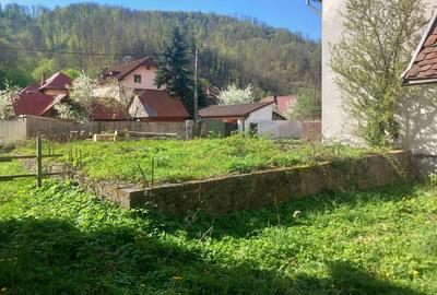 Casă cu 4 camere în Moneasa - 2
