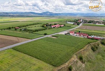 Teren arabil 3.000 mp, potential investitional, Coseni, Covasna - 4