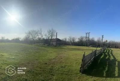 Teren intravilan 71.000mp, Barsa, Renumita Fabrica de caramida si casa 4 camere - 7