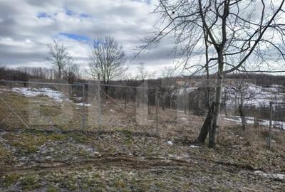 Teren în Păulești