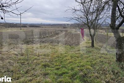 Teren de 1996 mp, în Viile Satu Mare - 8