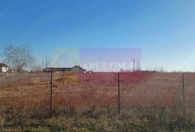 Teren de 1000 mp, în Săbăreni - 1