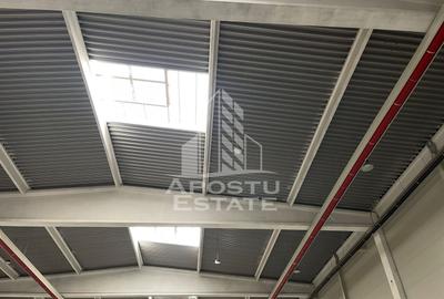 De inchiriat hala industriala 1850 mp - acces tir, rampa andocare - 12