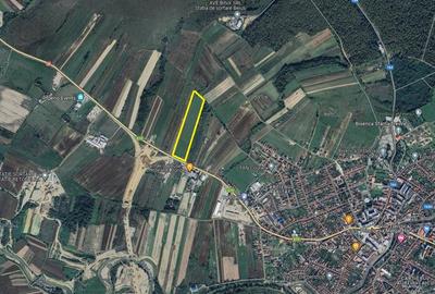 Teren extravilan - constructii, suprafata 49.933 mp, drumul E79, Beius - 2