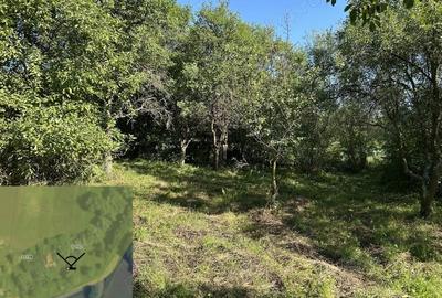 Teren de 11600 mp, în Ceuaș - 3