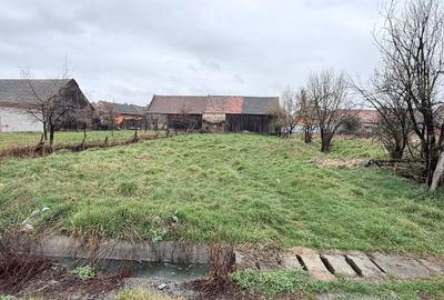 Casă cu 2 camere în Dumbrăvița - 2