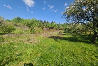 Teren de vanzare in Campina in zona retrasa - 10