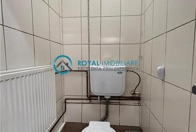 Royal Imobiliare - Spatiu industrial - service auto - 12