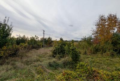 Teren 1966m Arcadie ?eptilici - TNT( Iner) - 3