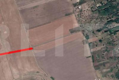 Teren de 5400 mp, în Dobrovăț - 2