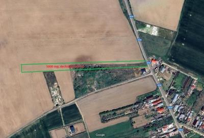 Teren de Vanzare – Peris, Ilfov, 5007 mp - 5