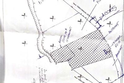 Ovidiu 6 ha teren intravilan construibil îngrădit și platforma betonata. - 3