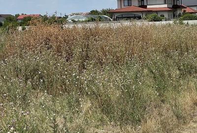 Spațiu comercial, în Bragadiru - 7