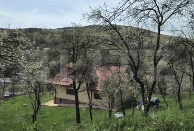 Casă cu 5 camere cu Teren 3000 Mp în Runcu - 14