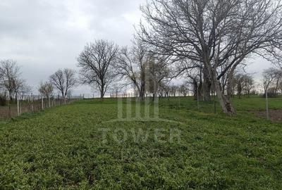 Casă de vânzare în satul Roșia cu vedere panoramică spre Munții Făgăras - 3