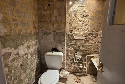 Baba Novac, cinema Gloria, pe Gheorghe Petrascu, 15 minute metrou Muncii, Baba Novac, cinema Gloria, pe Gheorghe Petrascu, 15 minute metrou Muncii, - 9