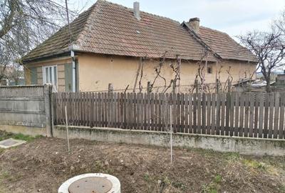 Casă cu 2 camere în Nisipeni