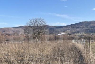 Teren intravilan de vanzare, 16 ari, zona-Unirea - 2