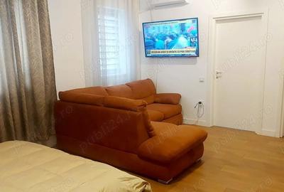 Garsonieră decomandată, mobilată în Timișoara - 2