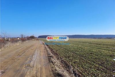 Teren Construcții intravilan de 150000 mp, în Corbeanca